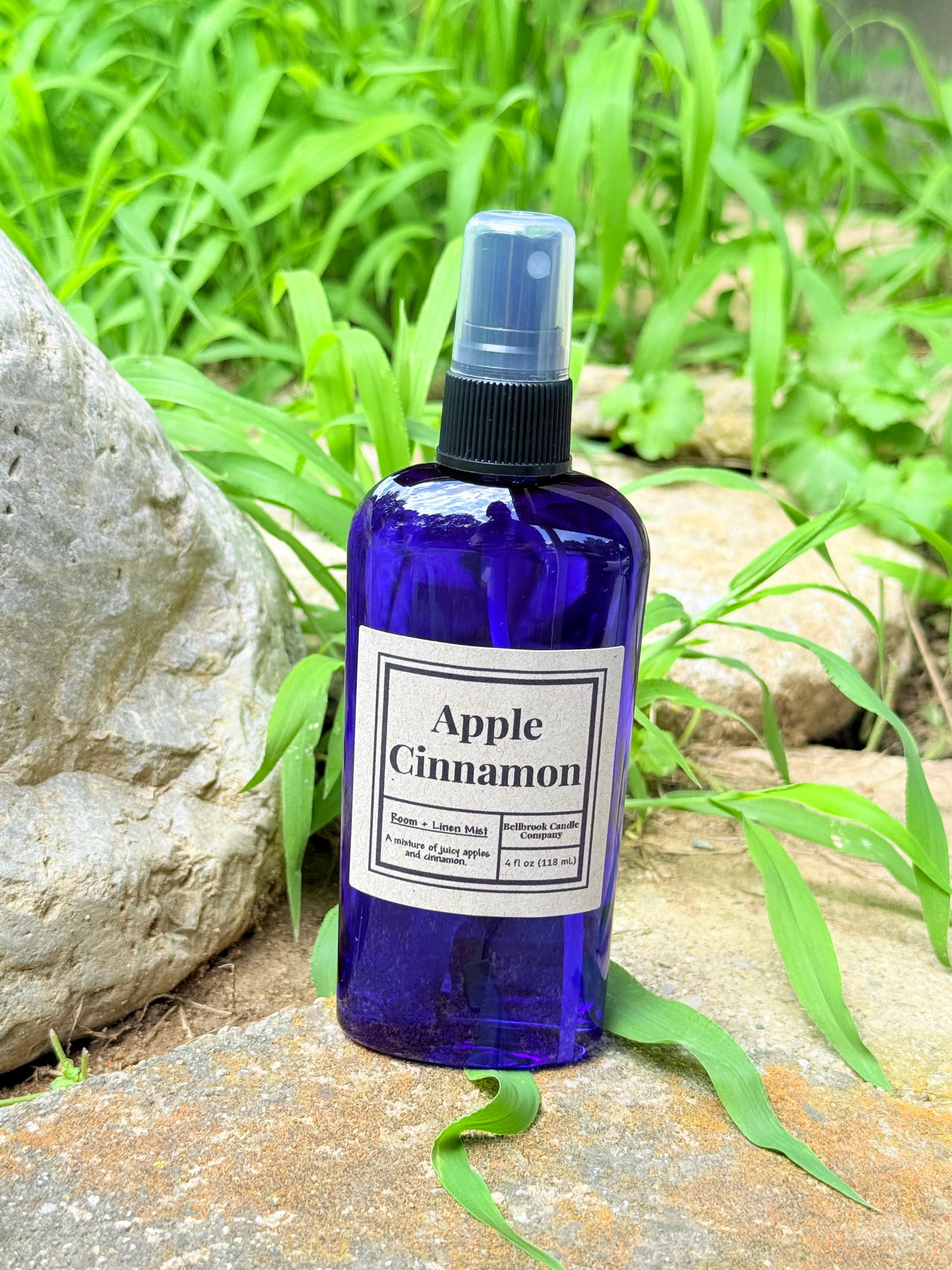Apple Cinnamon