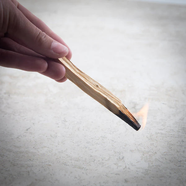 Palo Santo Sticks (3pk)