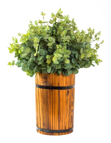 Eucalyptus Car Diffuser