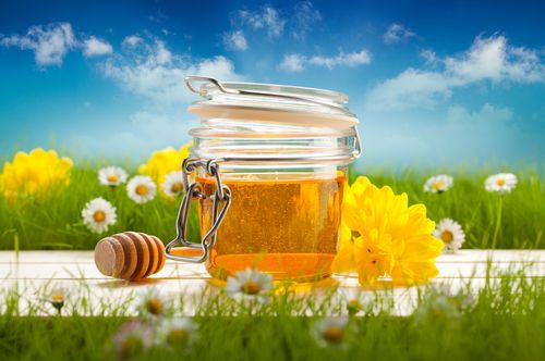 Honey Blossom 2.5oz Wax Melt