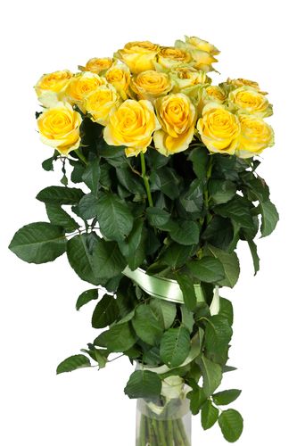 Fresh Cut Roses 8oz Single Wick Candle