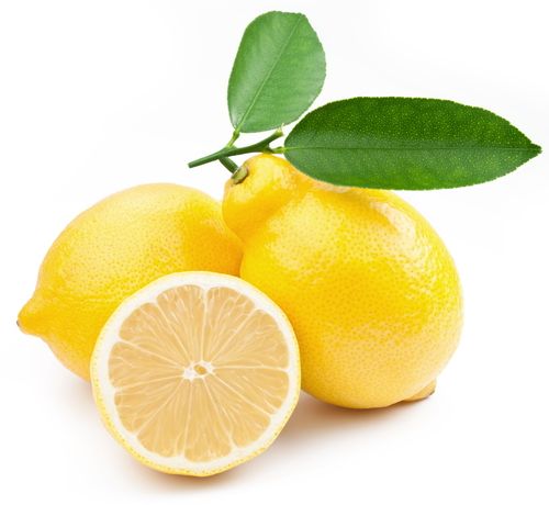 Fresh lemon 8oz Single Wick Candle